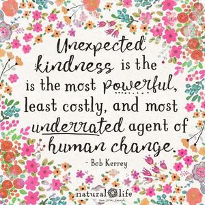 Meet your Posher, Karla